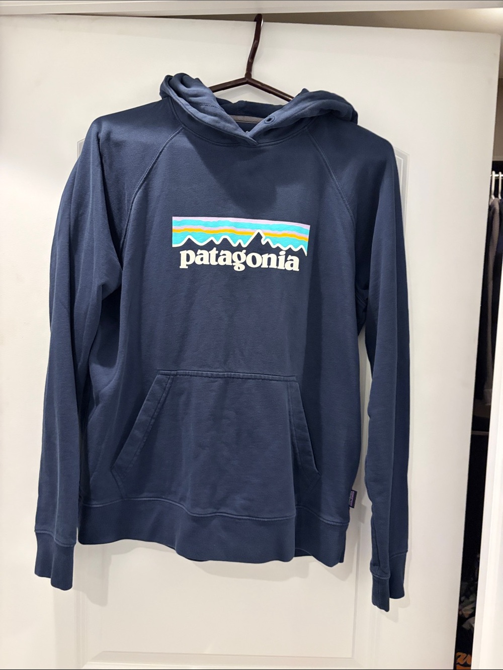 Patagonia Navy Hoodie with Multicolor Logo